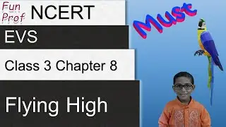 NCERT Class 3 EVS Chapter 8: Flying High | English | CBSE (NSO/NSTSE)