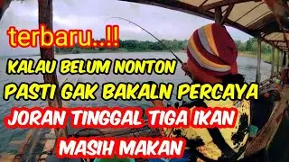Terbaru...!! Kalau belum nonton pasti gak percaya. Joran tinggal tiga ikan masih makan.