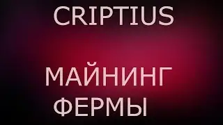 CRIPTIUS-ЗАРАБОТАЙ НА МАЙНИНГ ФЕРМЫ