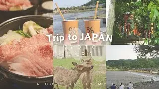 [English Sub] Arashiyama |Nara  嵐山と奈良　旅行
