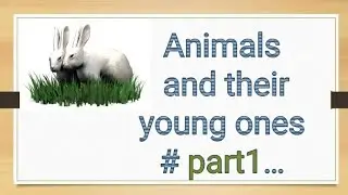 Animals and their young one|-part-1