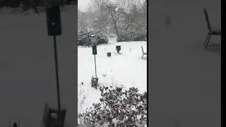 video of snow falling