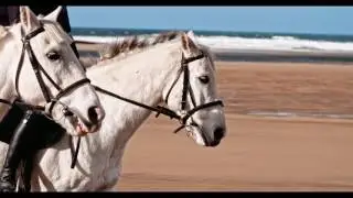 5 Star Hotel in Ireland | Trump International Golf Links and Hotel Ireland