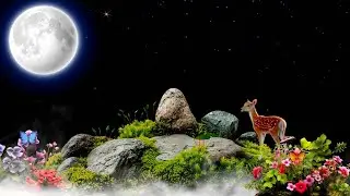 Nature Background Video With Smoke Effect And Night Effect Black Screen Template Video Background 