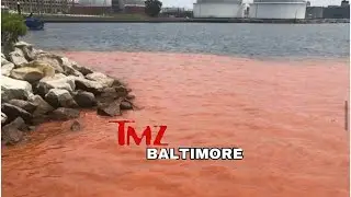 The Baltimore Inner Harbor Water Temperatures Reach 1,000 Degrees Celsuis And It To Turns Blood Red