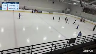U11A Can/Am tournament Bronze medal game vs GNH Warriors