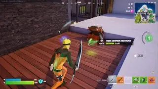 Fortnite 1st Mystic Goldfish