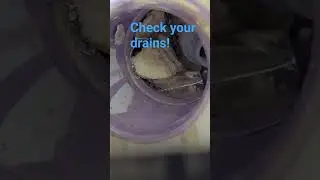 Top 10 bad things / easy fix ratio for new construction
