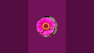 R AKILARANI is live