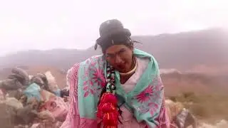 COMO MOSCAS EN LA CACA