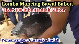 TIKET CUMA 100 RIBU | HADIAH MOTOR BEAT | LOMBA MANCING IKAN BAWAL