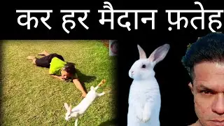 Kar har maidan fateh song from sanju video with rabbit playing 