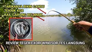 Review tegek exori Windsor dan tes langsung buat mancing