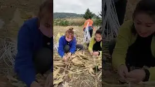Rural Farm  enjoy real life modern farming tool 10004