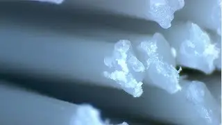 Household items under the microscope | My Little Planet