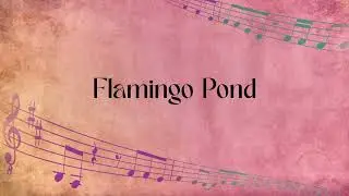 Flamingo Pond (Swan Lake but not)