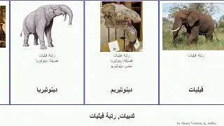 ثدييات, رتبة فيليات mammal Nat Proboscidea دينوثيريم Keefe موريثيريوم Hot Cherokee دينوثيريا Rum