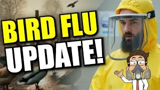 Bird Flu 2025 Is Spreading Fast &mdash; Here's What You Should Know