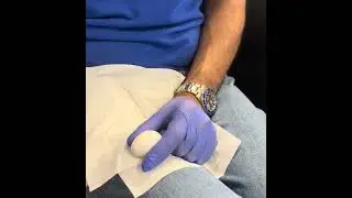The repair of a parrot egg.