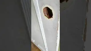 Your tips and techniques really helped me get the mudding in my kitchen done last year. Thankee.