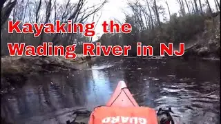 Kayaking the Wading River in the Wharton state forest NJ