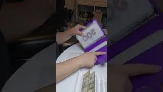 Sinking Funds stuffing - Golden Birthday
