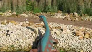 BLACKPOOL ZOO