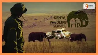 Tourism Federation protests new KWS fees, flags hidden charges