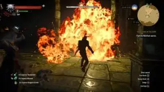 The Witcher 3: Wild Hunt first wild hunt boss on death march