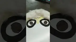panda mask#making #craft#schoolproject