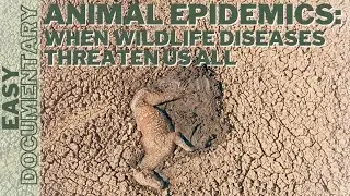 Animal Epidemics: When Wildlife Diseases Threaten Us All - Full Documentary