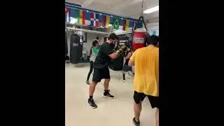 Adult boxing