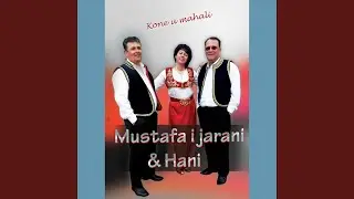 Pjesma bratu
