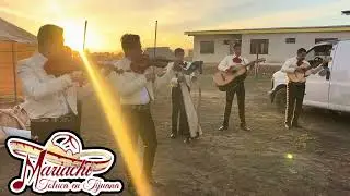 #mariachitolucaentijuana  #mariachisentijuana 