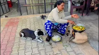 Village Drama  | LCP Pawlife