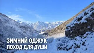 Зимний Оджук. Поход для души 23.12.25. Таджикистан, Варзоб.