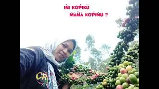 Mejeng dulu sebelum kopi dipetik #coffelover