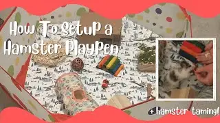 Как обустроить манеж для хомяка! // + сеанс приручения хомяка! 🐹
