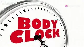 Circadian Rhythm  - The Ancient Clock #CircadianRhythm #Sleepcycle #BiologicalClock #SleepBetter