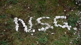 201611 - NSG 2015-2016