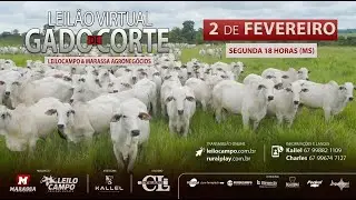 LEILÃO VIRTUAL LEILOCAMPO & MARASSA AGRONEGÓCIOS - CAMPO GRANDE/MS - RURAL PLAY