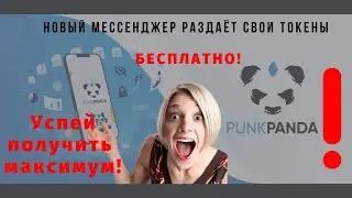 PUNK PANDA ПРЕЗЕНТАЦИЯ