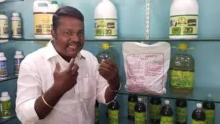 வேர் உட்பூசணம் - Uses of  VAM(Vesicular arbuscular Mycorrhiza) பயன்கள் பண்ணாரி அம்மன் ஒரிச்சேரி.....