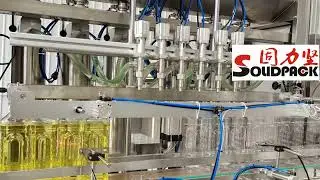 Solidpack   1L cooking oil piston filling machine
