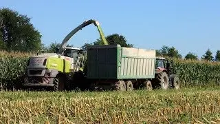 Silomais 2017 | CLAAS JAGUAR 960 | PORCELLATO