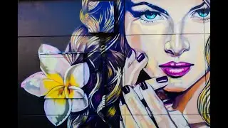 Is Graffiti art ? Or Vandalism ? - The History of Graffiti