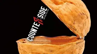 CounterSide in a Nutshell