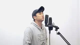bad guy  - Billie Eilish (Cover by Benjamin Man)