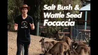 Salt Bush & Wattle Seed Focaccia | The Gay Chef (ft. Roogenic)