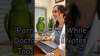 &ldquo;Parrot Flirts While Doctor Takes Notes Too Fast 😂🦜👩🏻&zwj;⚕️&rdquo; #talkingparrot #usashorts #shorts